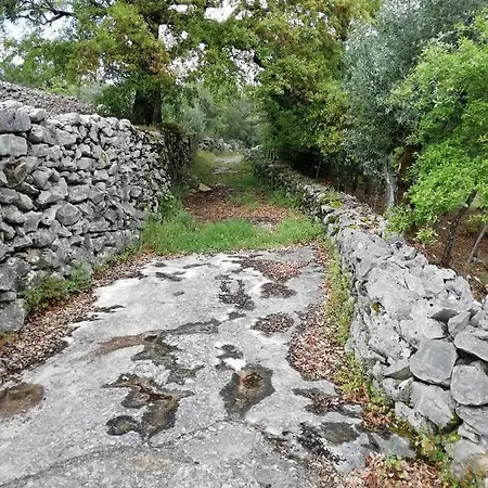 Casa Taliscas Villa Barreira (Ansiao)